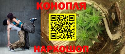 Альфа ПВП Ливны